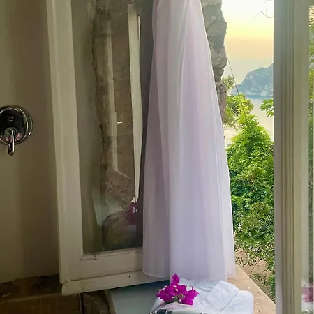 Grazia فيلة *