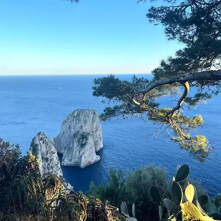 Grazia Vila