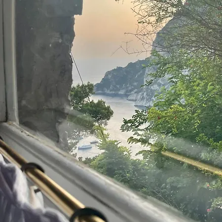 Grazia Capri